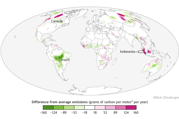 Global map of carbon emissions from fires in 2014 compared to the 2001 to 2013 average.