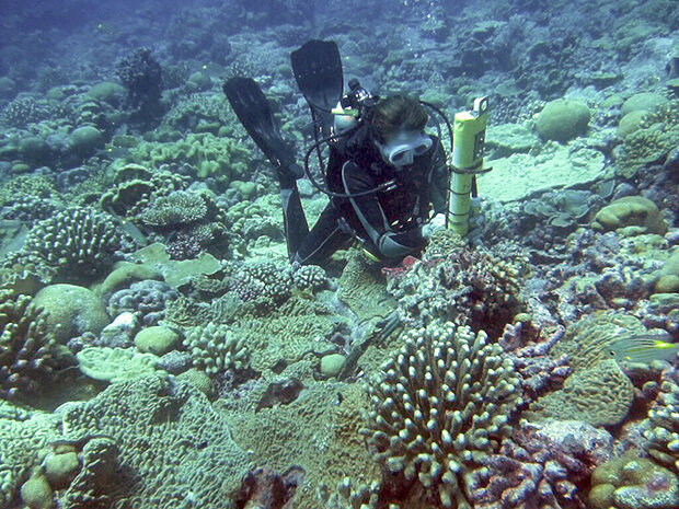 Kim Cobb installing a sensor on a healthy coral reef