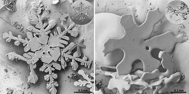 Pair of scanning electron microscope photos of snowflakes showing different configurations of facets and grains based on temperature.