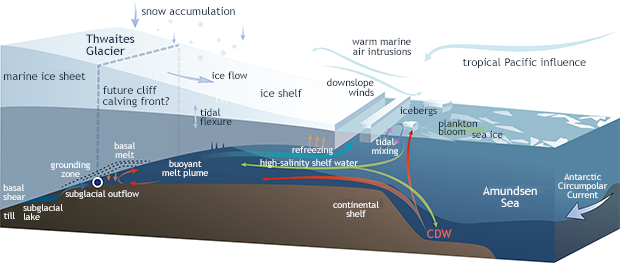 Glacier-ice-shelf schematic