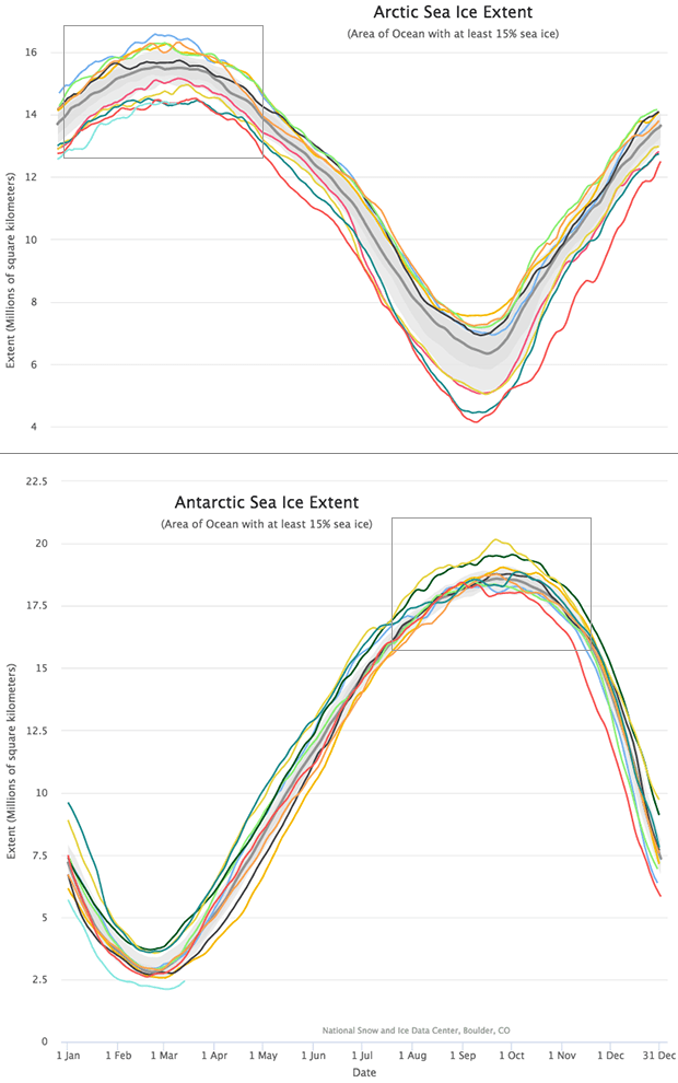 line graphs of Arctic and Antarctic daily ice extents