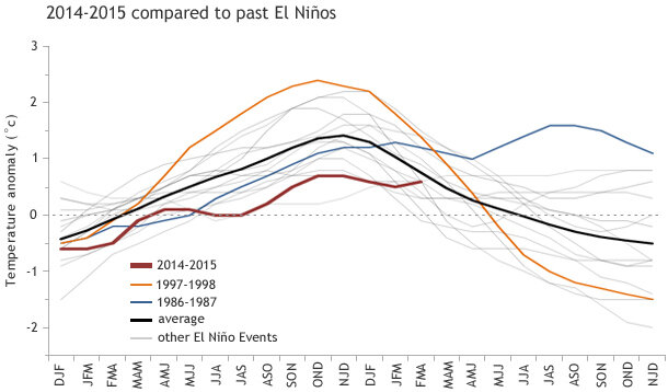 2014-2015 compared to past El Ninos