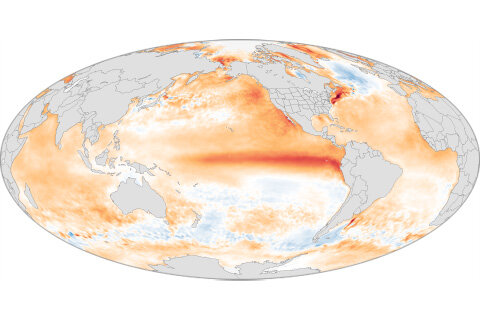 Map of sea surface temperature in 2015
