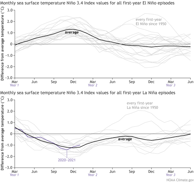 Two graphs showing evolution of tropical Pacific ocean temperatures following all El Niños versus all La Niñas