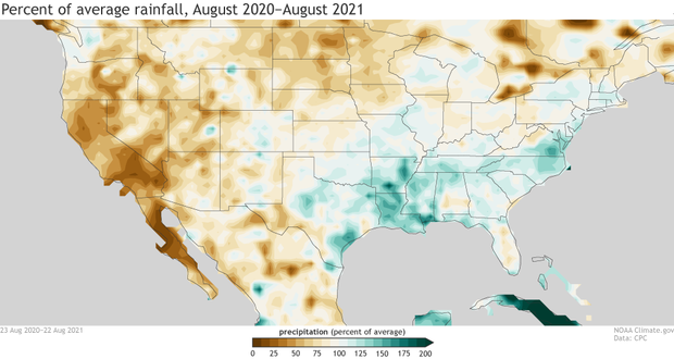 Percent of average rainfall across the United States from AUgust 2020 to August 2021