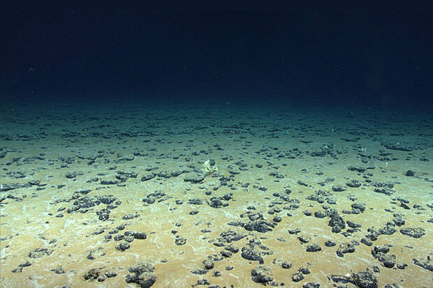 Seafloor