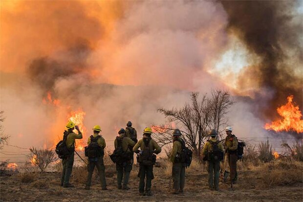 Firefighters facing a wildfire
