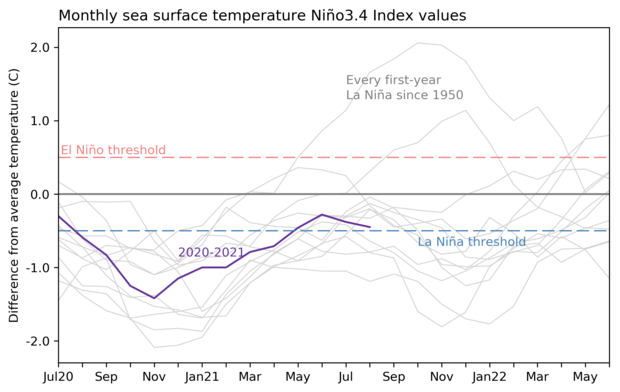 Graph of tropical pacific temperatures during current and past La Niñas