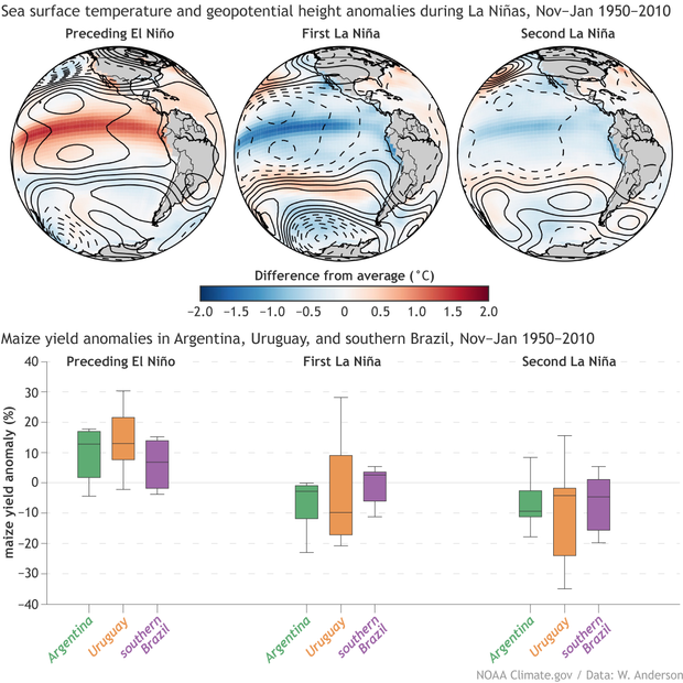 (top row) Trio of globes showing sea surface temperature patterns when an El Niño year is followed by two La Niña years. (bottom) graphs of crop anomalies in South America during those same events