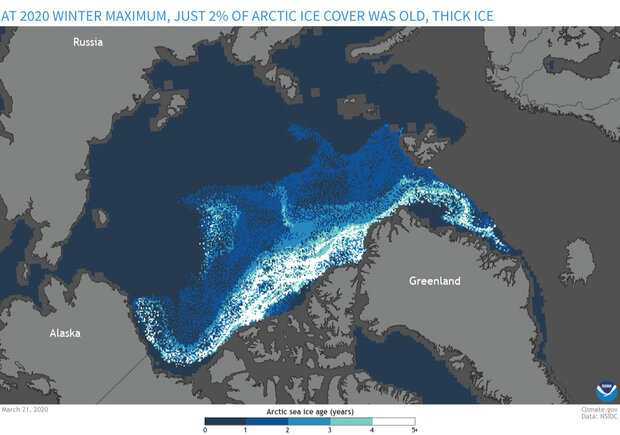 Map of Arctic showing age of sea ice at the 2020 winter maximum in March
