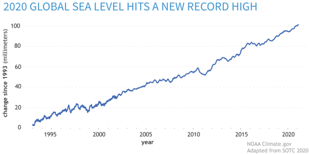 Graph of sea level rise since 1993