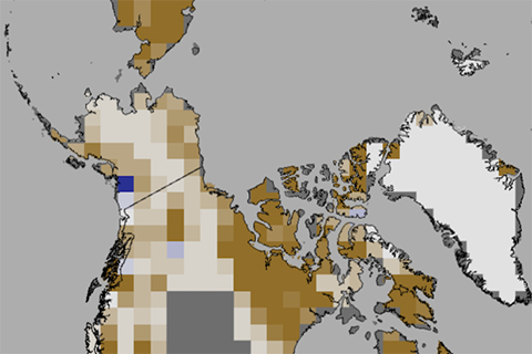 Northern Hemisphere snow cover map