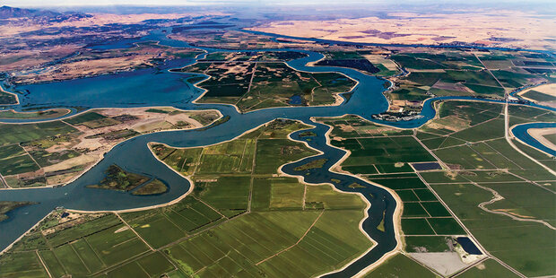 Aerial photo of Sacramento-San Joaquin River Delta