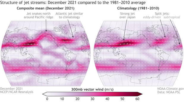 SIde by side maps of Northern Hemisphere winds in December 2021 versus 1981-2010 average