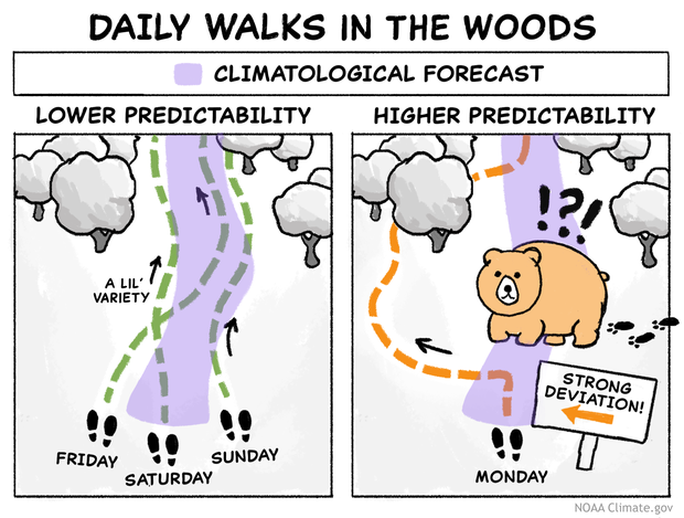 Two-panel cartoon showing a "climateological" pathway through a forest versus a devitation from that path due to a bear