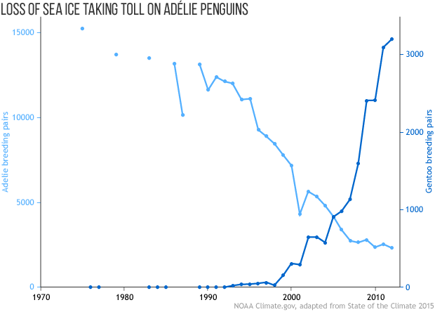 Line graph of Adelie and Gentoo penguin populations over time.