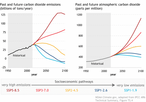 Can We Reverse Carbon Emissions?
