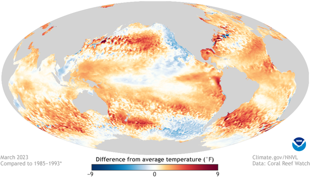 map of March 2023 sea surface temperature anomaly