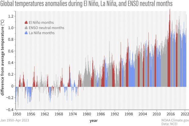 bar graph with monthly temperature anomalies colored by ENSO state