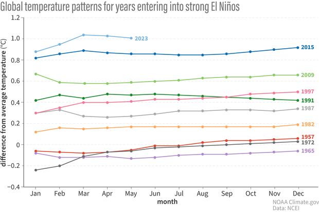 Line graph of monthly temperature anomalies for years when El Niño developed