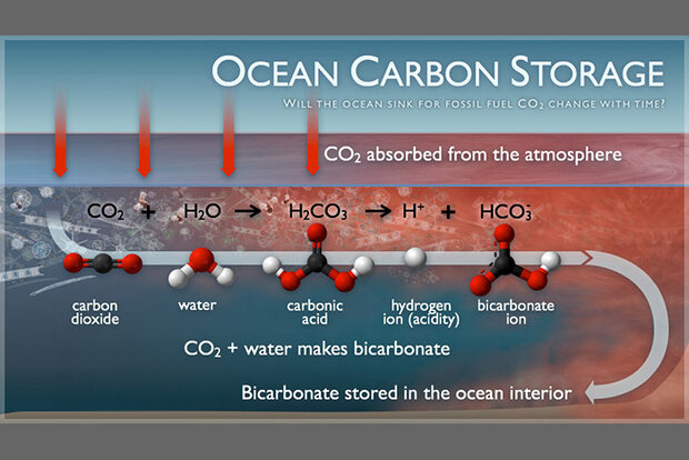 Ocean carbon storage