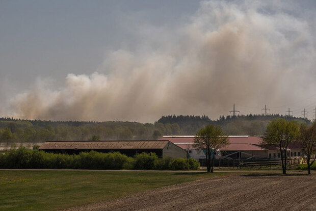 Smoke rising from burning vegetation