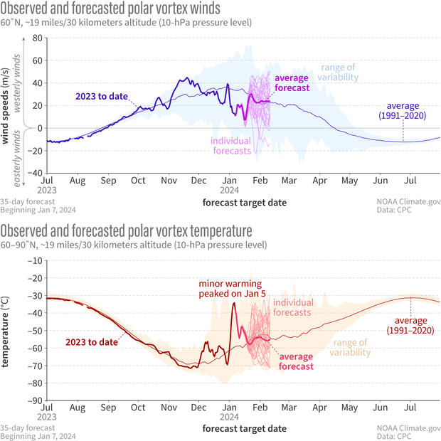 Line graphs of observed and forecasted wind speed and temperature in polar vortex