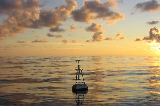 Buoy floating in the water