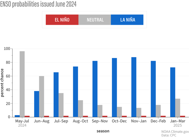 Bar chart of seasonal forecasts for El Niño, La Niña, and neutral conditions for the rest of 2024 and early 2025
