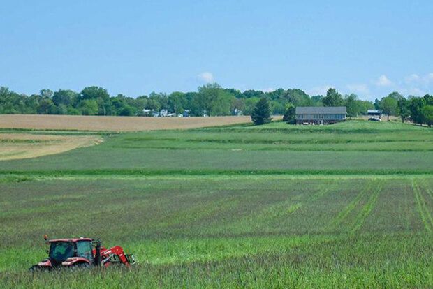 Tractor in agricultural field