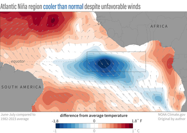 Map of central Atlantic showing cool temperatures at equator along with the anomalous northwesterly wind influence in summer 2024