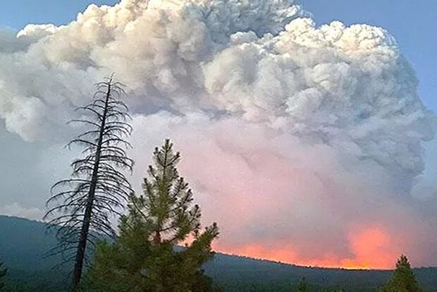 Pyrocumulonimbus clouds over fire behind horizon