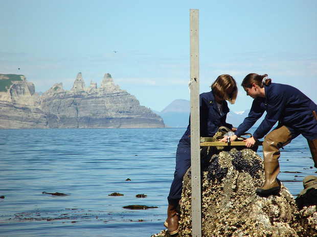 Two people on a gnarly outcrop just above sea level handling a vertical bar and a horizontal platform