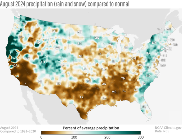 Map of contiguous United States showing where precipitation was more or less than 100 percent of average in August 2024