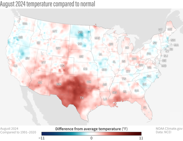 Map of contiguous United States showing where temperatures in August 2024 were cooler or warmer than average. 