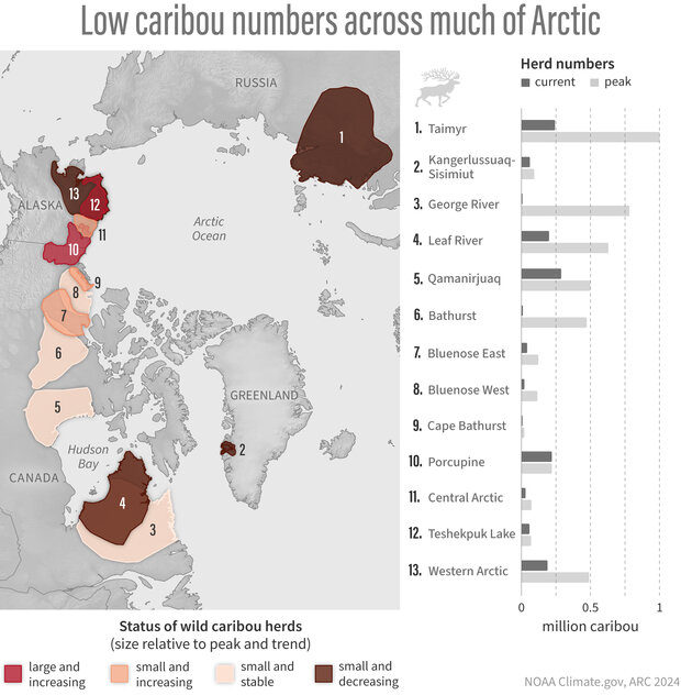 Map and graph of low caribou numbers for the 2024 arctic report card corrected