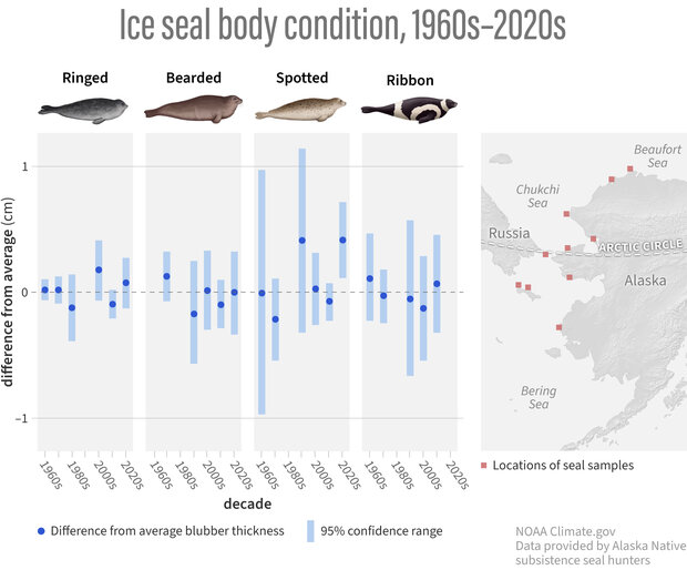 Map and graph showing ice seal location and body conditions for the 2024 arctic report card