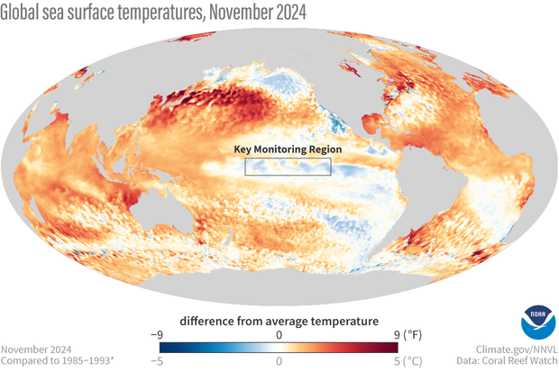 Global map of November 2024 temperatures compared to average showing cool waters in the tropical Pacific and widespread warmth globally