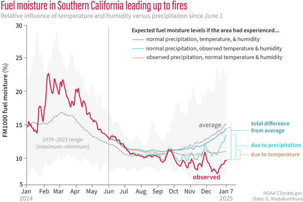line graph of observed and hypothetical fuel moisture