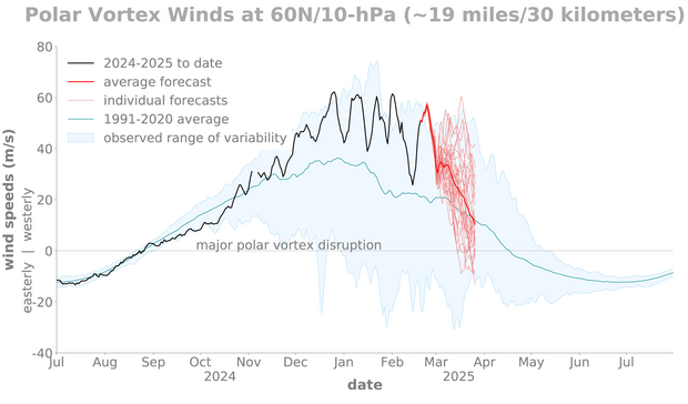 Time series of polar stratosphere winds, observed and forecast in 2025