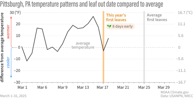 Line graph showing how much cooler or warmer than average it was in Pittsburgh, PA in March 2025