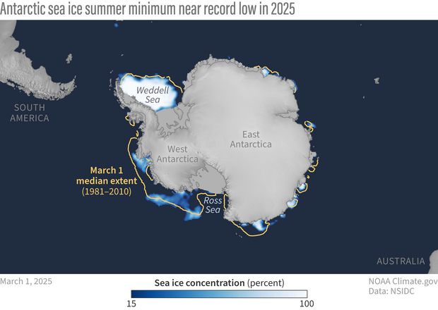 Map of sea ice concentrations around Antarctica on March 1, 2025. Compared to the median ice extent, there is less ice.