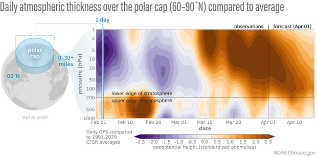 contour plot of atmospheric thickness anomalies over polar cap
