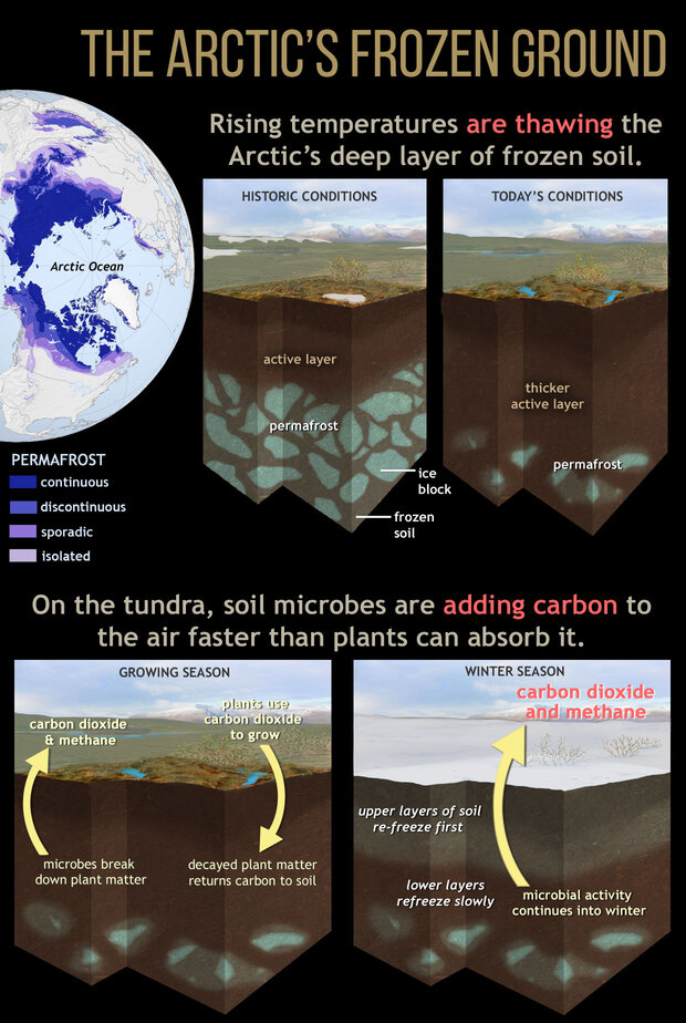 Infographic of soil processes in thawing Arctic permafrost