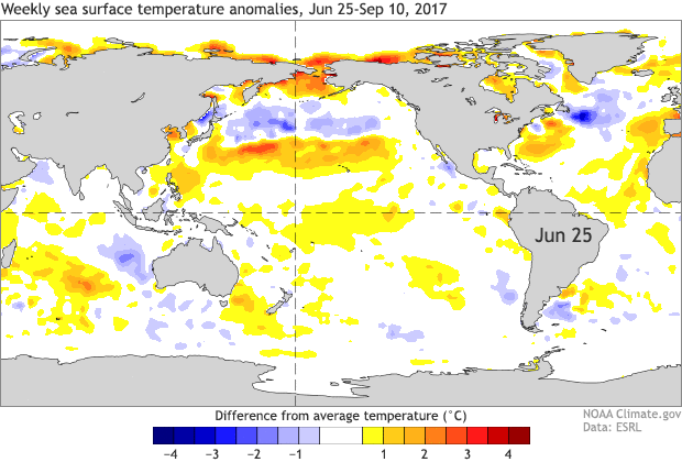 Weekly sea surface temperatures from July 2–September 17, 2017
