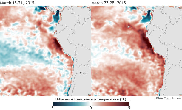 Map pair showing difference from average sea surface temperature for the third and fourth week of March 2015