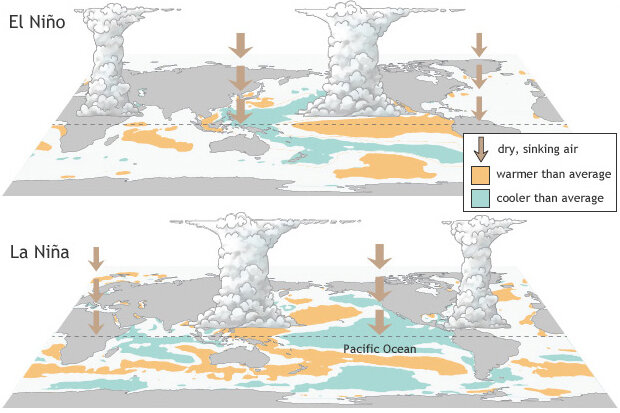 Schematic comparing ocean temperatures and rainfall patterns during E Niño and La Niña