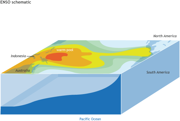 Schematic of all the ocean and atmosphere components that create ENSO