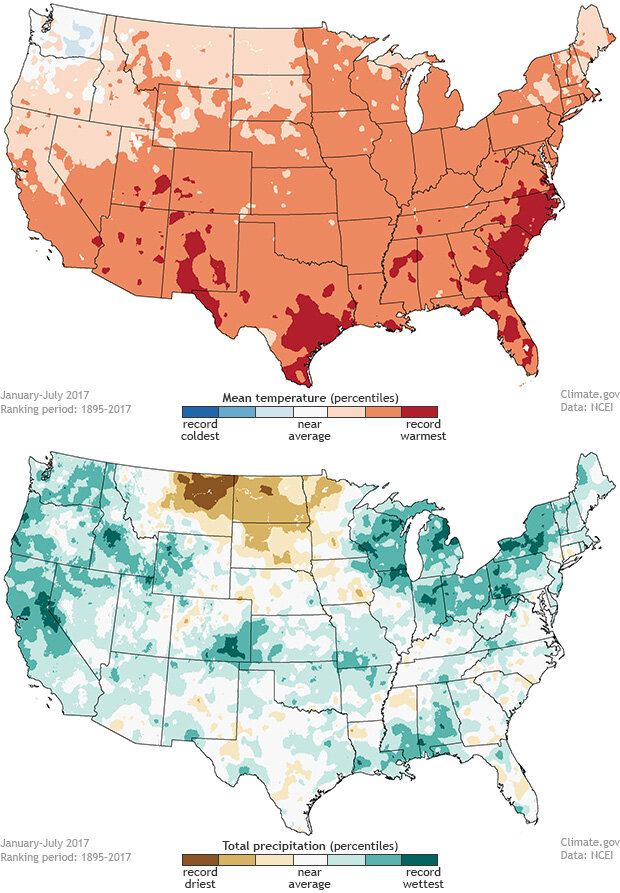 Map of Year-to-date (January-July 2017) temperature and precipitation ranks for the contiguous United States