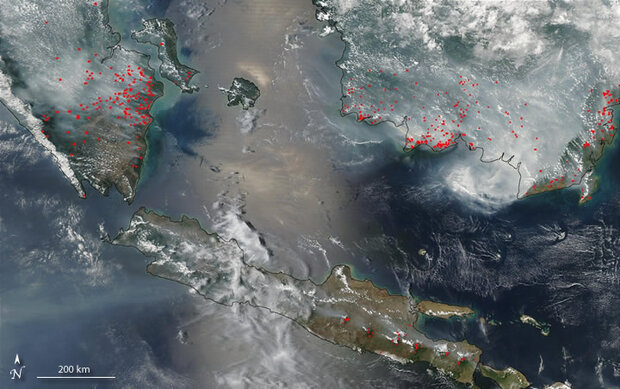 MODIS satellite image of Indonesia during an El Nino event showing the smoke from active fires.